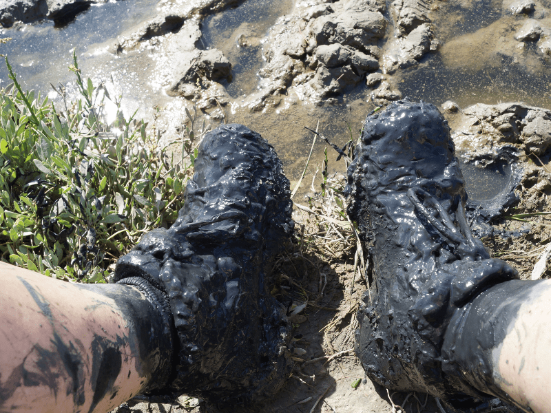 Mucking around and coming&nbsp;clean